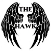 6408c8b7bd3e4Avatar The Hawk 100x100.jpg